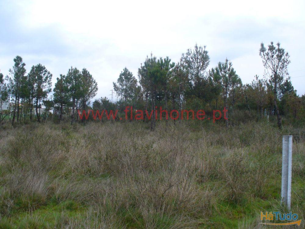 Terreno Terreno