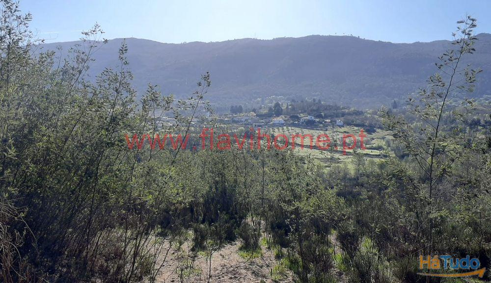 Terreno Terreno