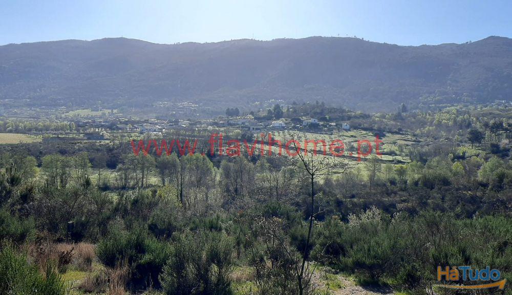 Terreno Terreno