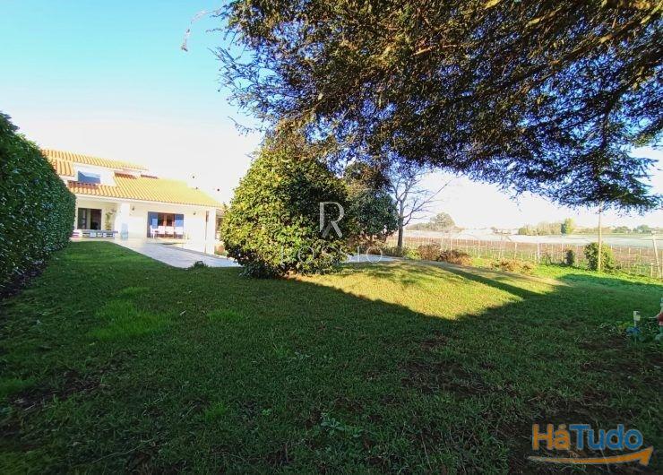 Fantástica moradia T4 em Panoias, piscina e terreno com 3085 m2 Fantástica moradia T4 em Panoias, piscina e terreno com 3085 m2