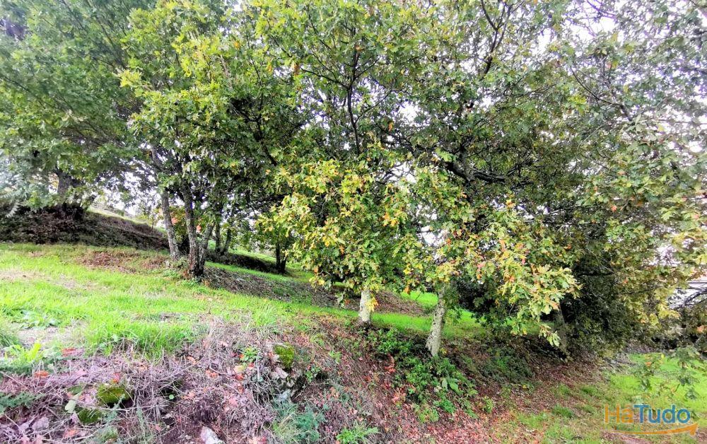 PROPRIEDADE RÚSTICA PROPRIEDADE RÚSTICA