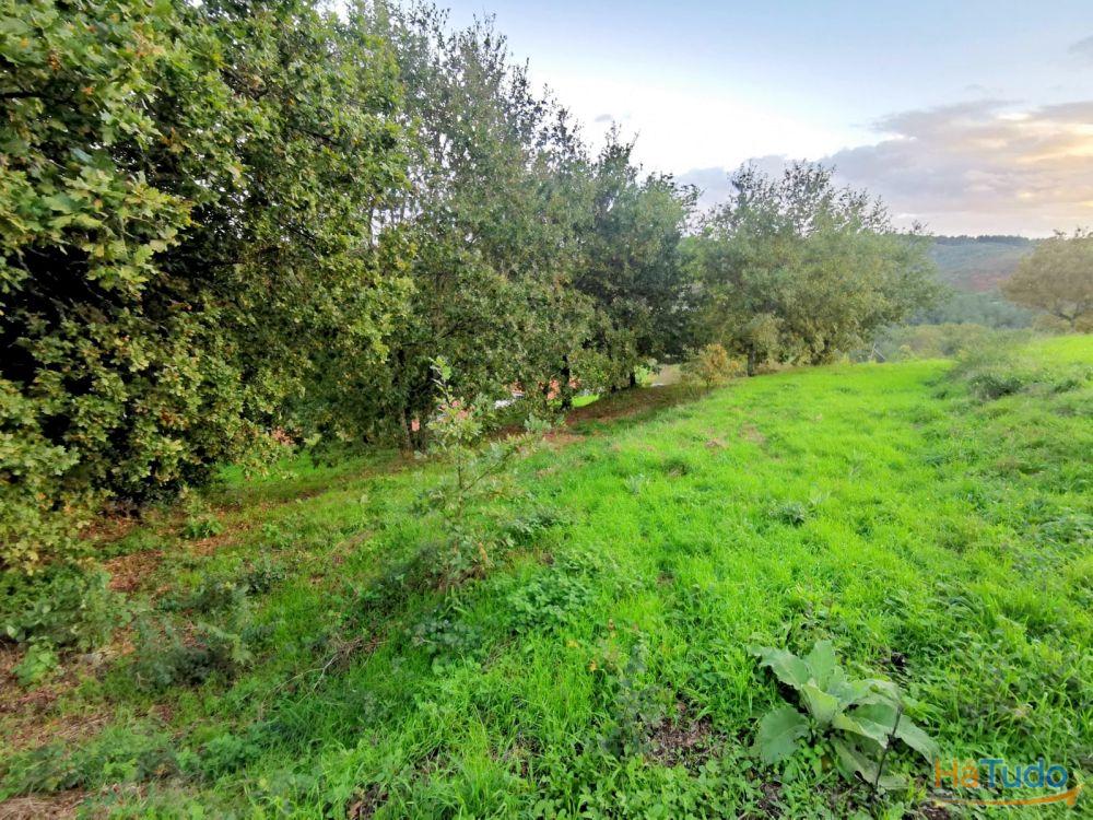 PROPRIEDADE RÚSTICA PROPRIEDADE RÚSTICA