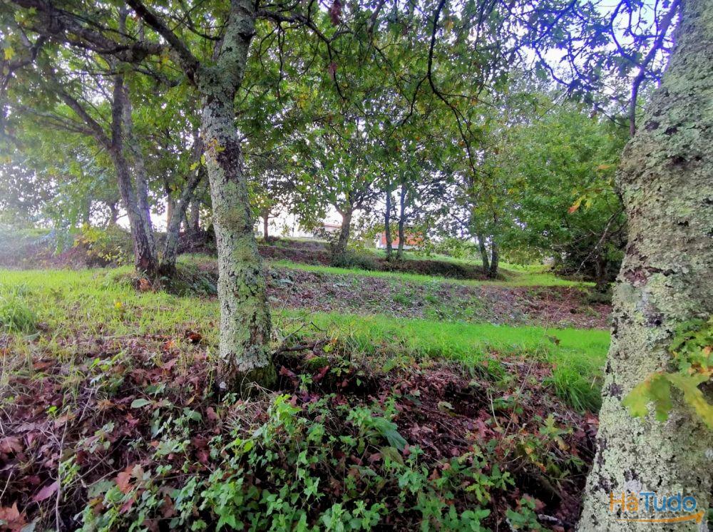 PROPRIEDADE RÚSTICA PROPRIEDADE RÚSTICA