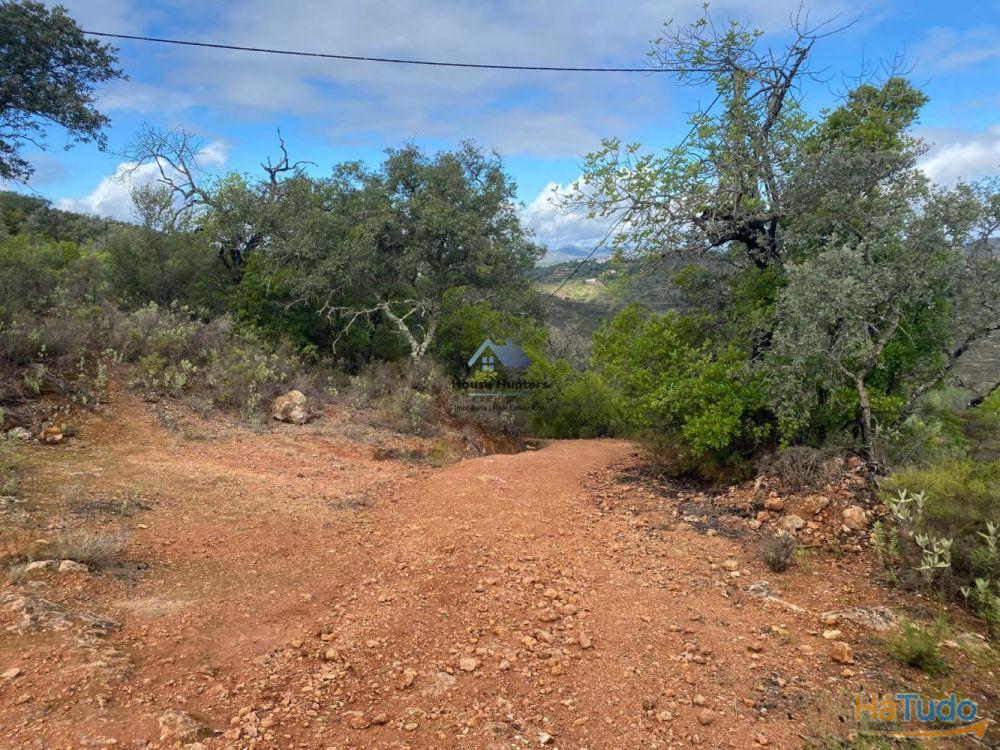 Terreno Rustico | Alcaria do Gato | Querença Terreno Rustico | Alcaria do Gato | Querença