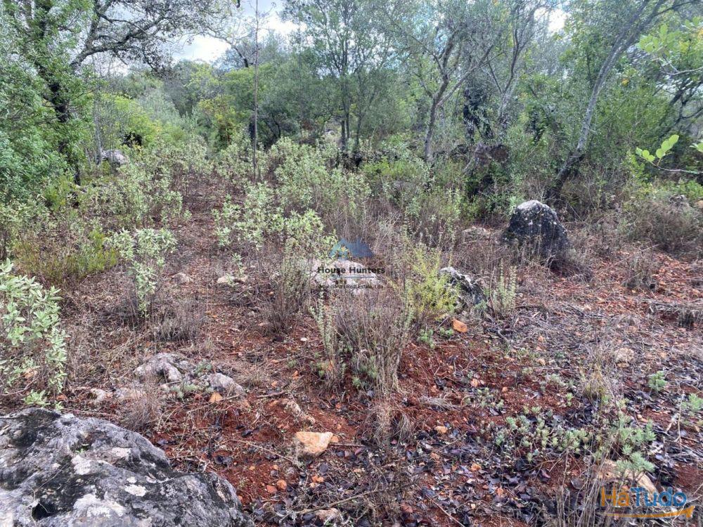 Terreno Rustico | Alcaria do Gato | Querença Terreno Rustico | Alcaria do Gato | Querença