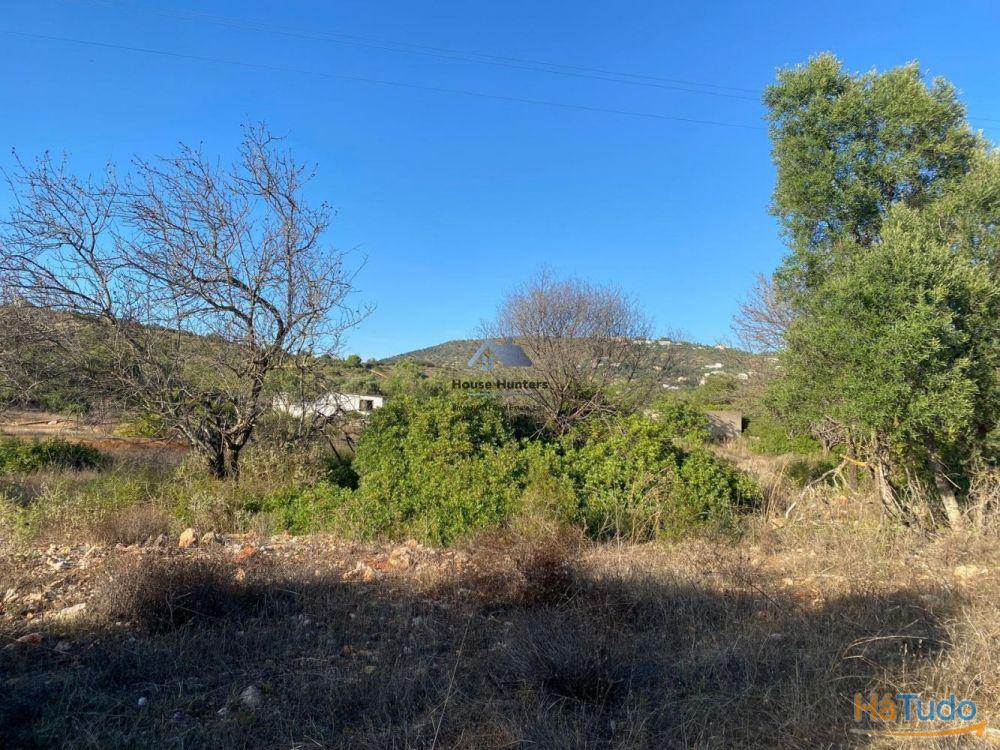 Terreno Rustico em Rocha Dos Penedos Altos | Querença Terreno Rustico em Rocha Dos Penedos Altos | Querença