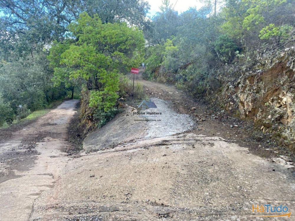 Terreno Rustico em Rocha Dos Penedos Altos | Querença Terreno Rustico em Rocha Dos Penedos Altos | Querença