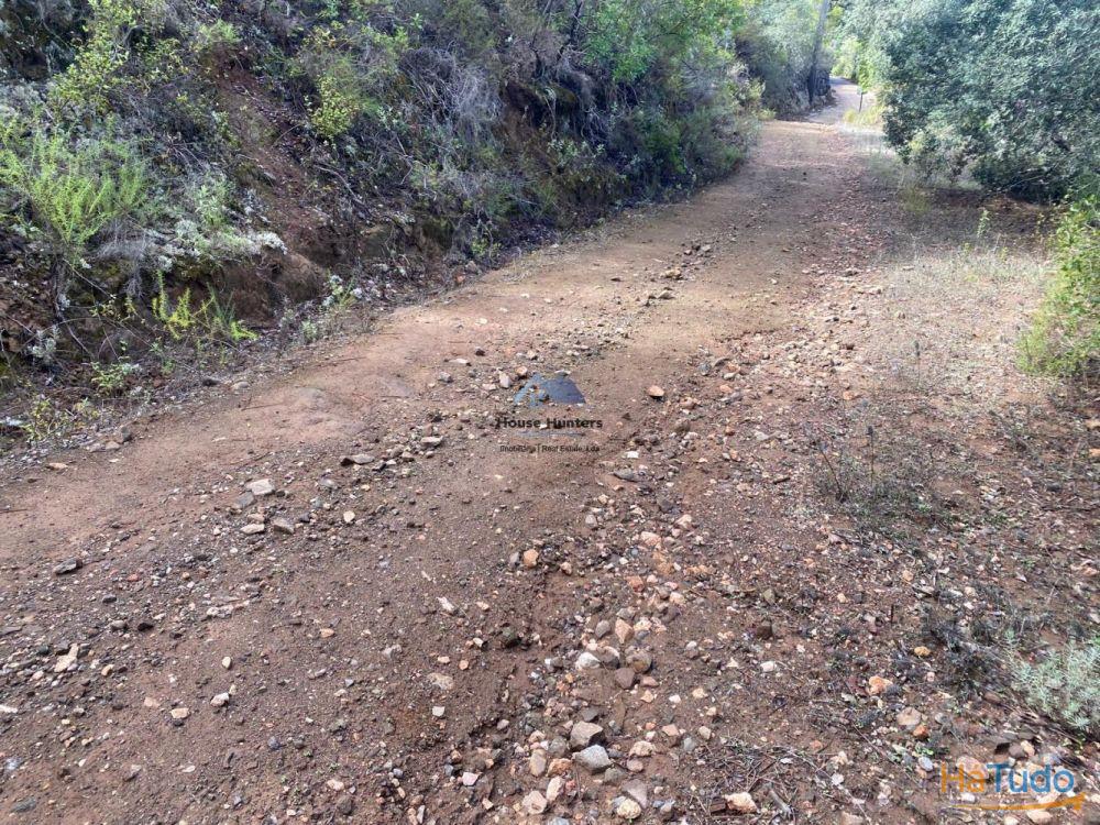 Terreno Rustico em Rocha Dos Penedos Altos | Querença Terreno Rustico em Rocha Dos Penedos Altos | Querença