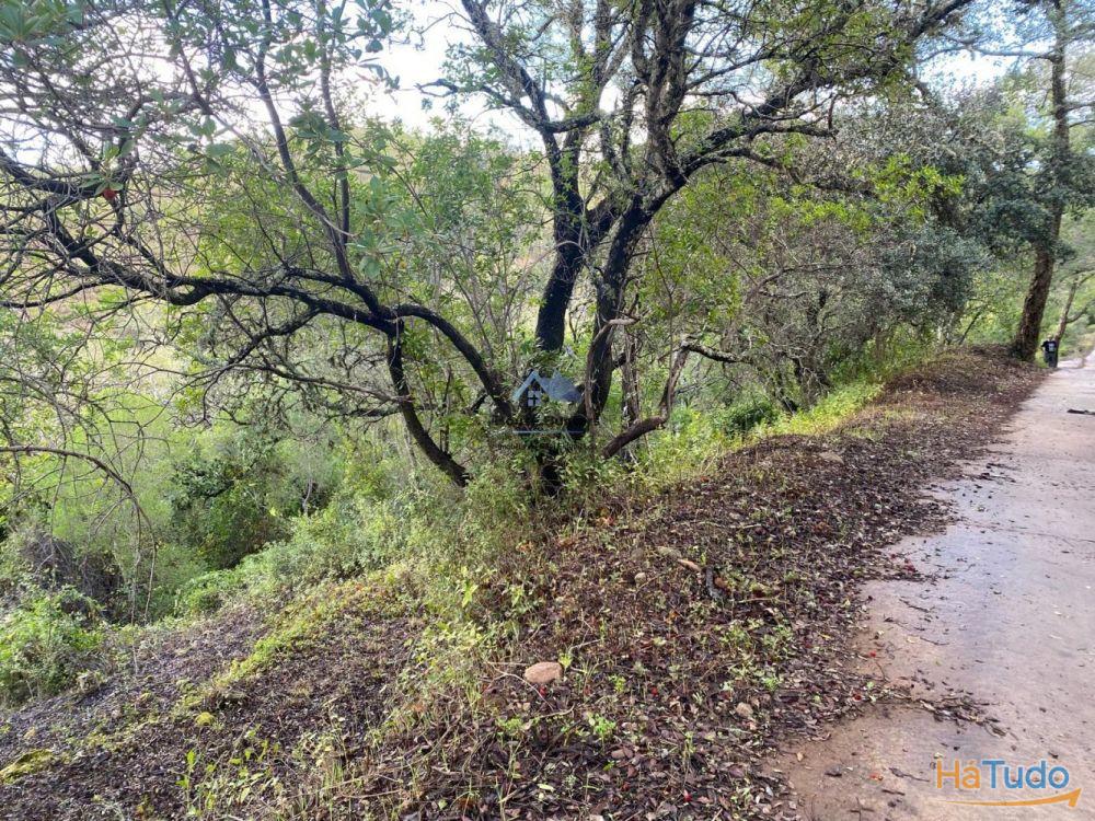 Terreno Rustico em Rocha Dos Penedos Altos | Querença Terreno Rustico em Rocha Dos Penedos Altos | Querença