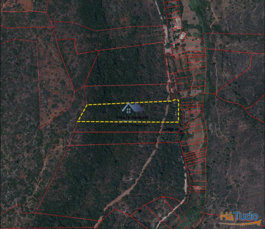 Terreno Rustico em Rocha Dos Penedos Altos | Querença Terreno Rustico em Rocha Dos Penedos Altos | Querença