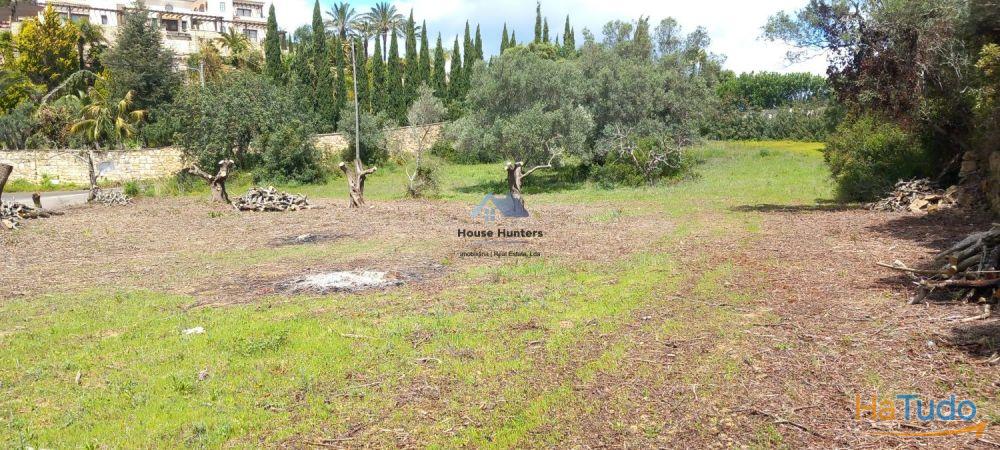 TERRENO RUSTICO | AGUA REDE | ELETRICIDADE | CORGOS DE S. LUZIA | LOULÉ TERRENO RUSTICO | AGUA REDE | ELETRICIDADE | CORGOS DE S. LUZIA | LOULÉ