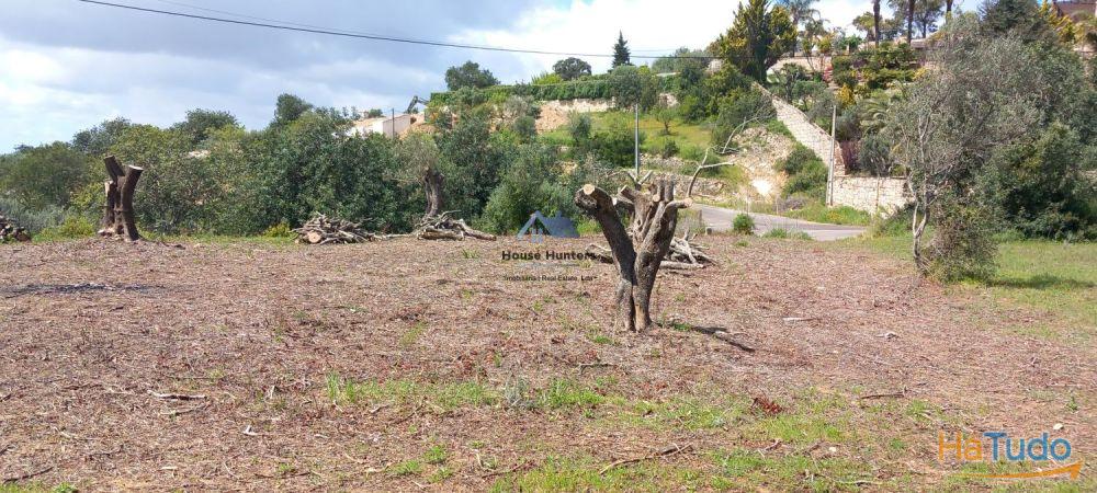 TERRENO RUSTICO | AGUA REDE | ELETRICIDADE | CORGOS DE S. LUZIA | LOULÉ TERRENO RUSTICO | AGUA REDE | ELETRICIDADE | CORGOS DE S. LUZIA | LOULÉ