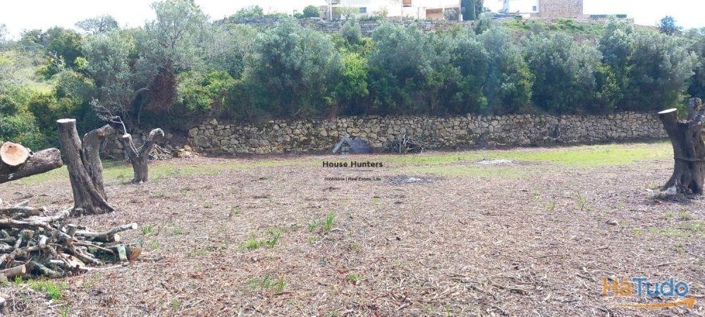 TERRENO RUSTICO | AGUA REDE | ELETRICIDADE | CORGOS DE S. LUZIA | LOULÉ TERRENO RUSTICO | AGUA REDE | ELETRICIDADE | CORGOS DE S. LUZIA | LOULÉ