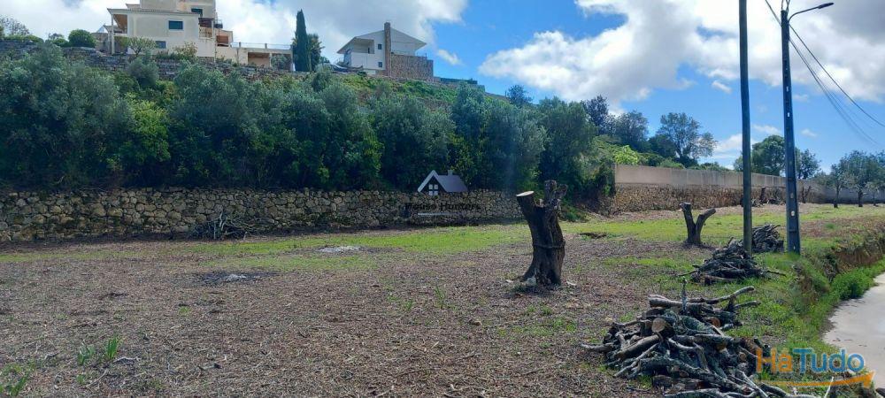 TERRENO RUSTICO | AGUA REDE | ELETRICIDADE | CORGOS DE S. LUZIA | LOULÉ TERRENO RUSTICO | AGUA REDE | ELETRICIDADE | CORGOS DE S. LUZIA | LOULÉ