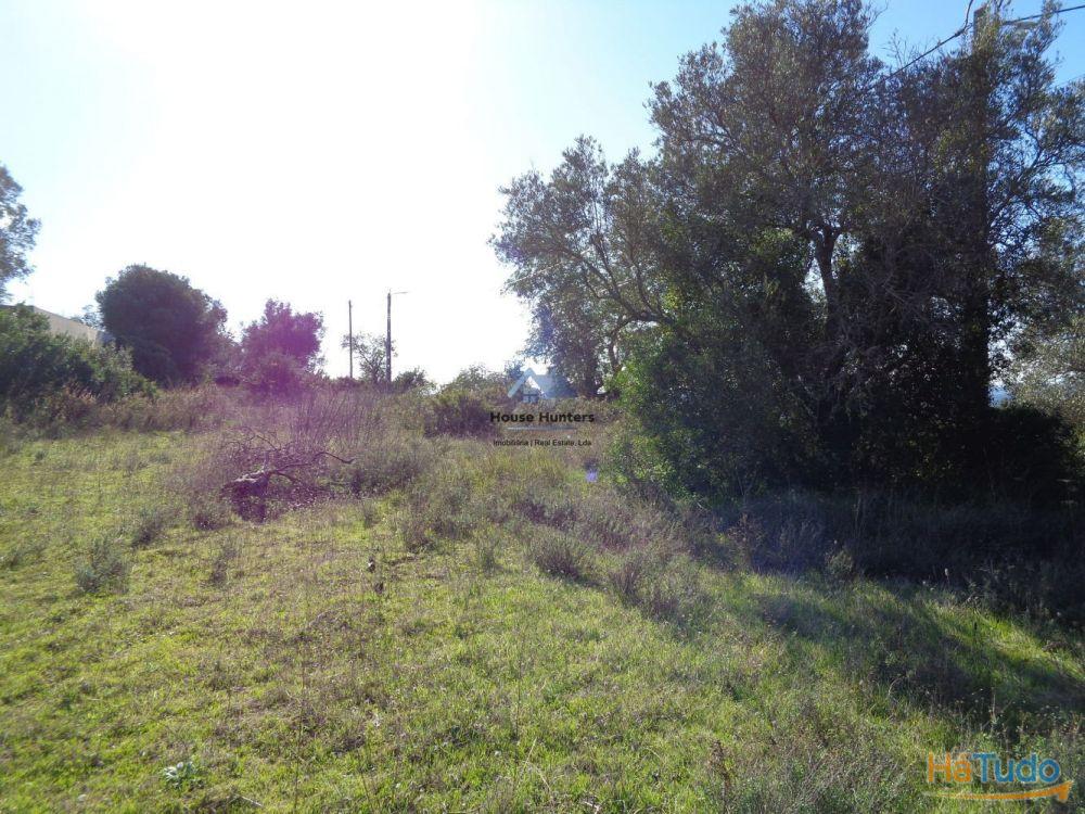 TERRENO RUSTICO | AGUA REDE | ELETRICIDADE | CORGOS DE S. LUZIA | LOULÉ TERRENO RUSTICO | AGUA REDE | ELETRICIDADE | CORGOS DE S. LUZIA | LOULÉ
