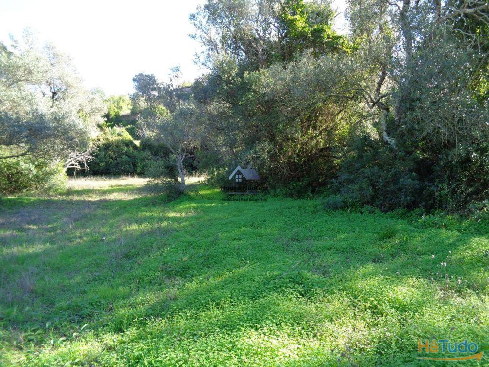 TERRENO RUSTICO | AGUA REDE | ELETRICIDADE | CORGOS DE S. LUZIA | LOULÉ TERRENO RUSTICO | AGUA REDE | ELETRICIDADE | CORGOS DE S. LUZIA | LOULÉ