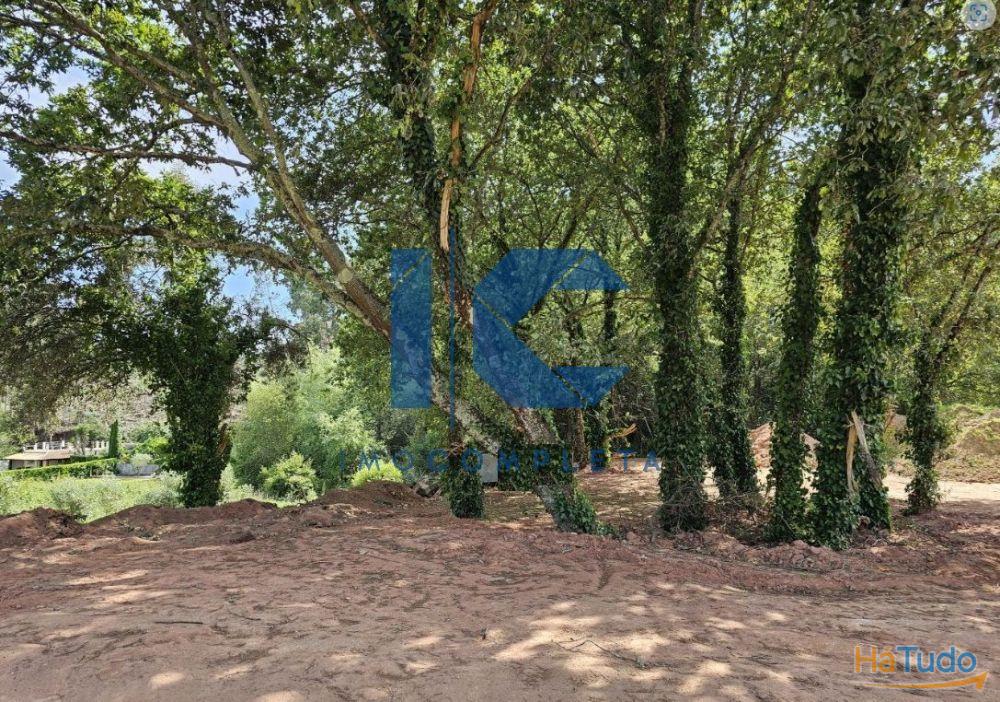 Terrenos para venda em Vale d´Erva - Águeda Terrenos para venda em Vale d´Erva - Águeda