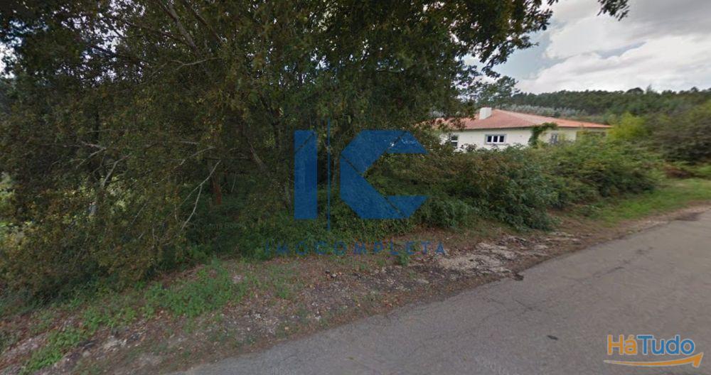 Terrenos para venda em Vale d´Erva - Águeda Terrenos para venda em Vale d´Erva - Águeda