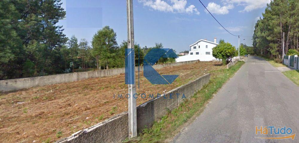 Terreno para venda em Valongo do Vouga - Águeda Terreno para venda em Valongo do Vouga - Águeda