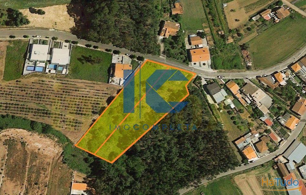 Terreno para venda em Valongo do Vouga - Águeda Terreno para venda em Valongo do Vouga - Águeda