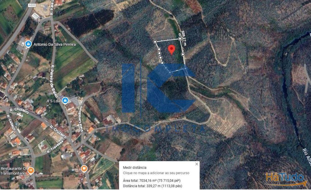 Terreno rústico para venda em Maçoida - Águeda Terreno rústico para venda em Maçoida - Águeda