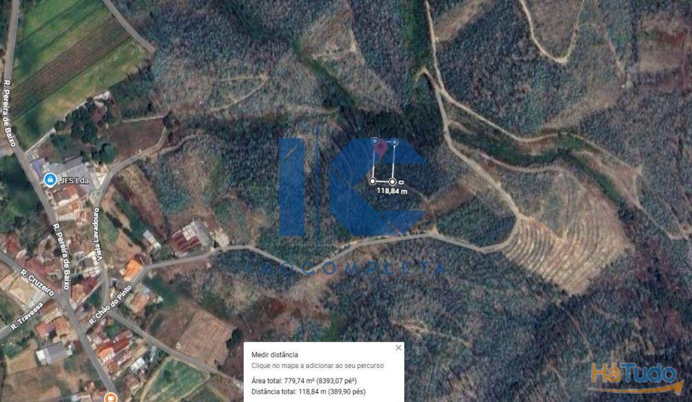 Terreno rústico para venda em Maçoida - Águeda Terreno rústico para venda em Maçoida - Águeda