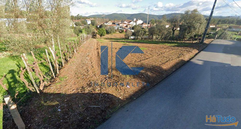 Terreno para venda em Maçoida - Águeda Terreno para venda em Maçoida - Águeda