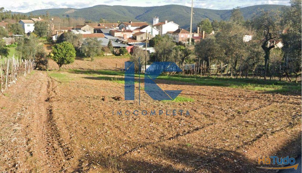 Terreno para venda em Maçoida - Águeda Terreno para venda em Maçoida - Águeda