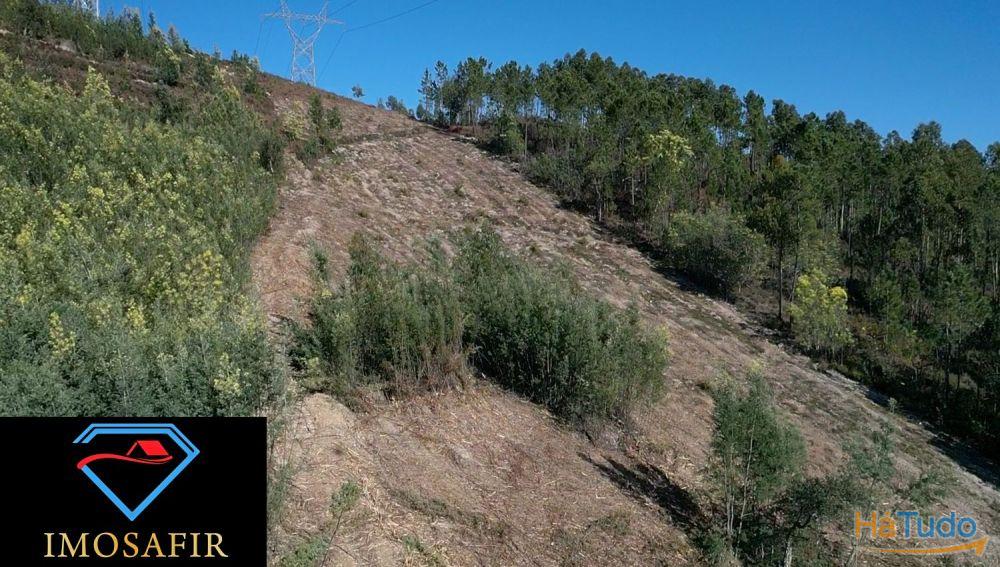 Terrenos com 10.400 m2 em Ribeira, Ferreira do Zêzere Terrenos com 10.400 m2 em Ribeira, Ferreira do Zêzere