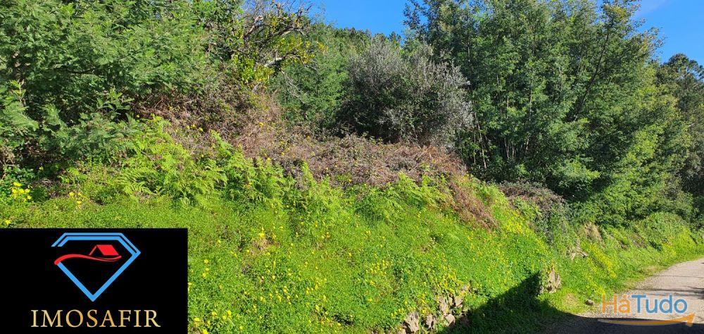 Terrenos com 10.400 m2 em Ribeira, Ferreira do Zêzere Terrenos com 10.400 m2 em Ribeira, Ferreira do Zêzere