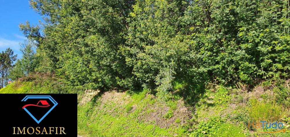 Terrenos com 10.400 m2 em Ribeira, Ferreira do Zêzere Terrenos com 10.400 m2 em Ribeira, Ferreira do Zêzere