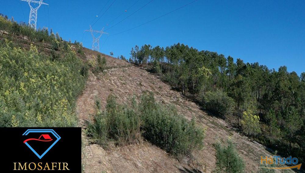 Terrenos com 10.400 m2 em Ribeira, Ferreira do Zêzere Terrenos com 10.400 m2 em Ribeira, Ferreira do Zêzere