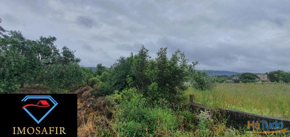 Terreno de construção com 18.480m2 em Matos, freguesia de Areias Terreno de construção com 18.480m2 em Matos, freguesia de Areias