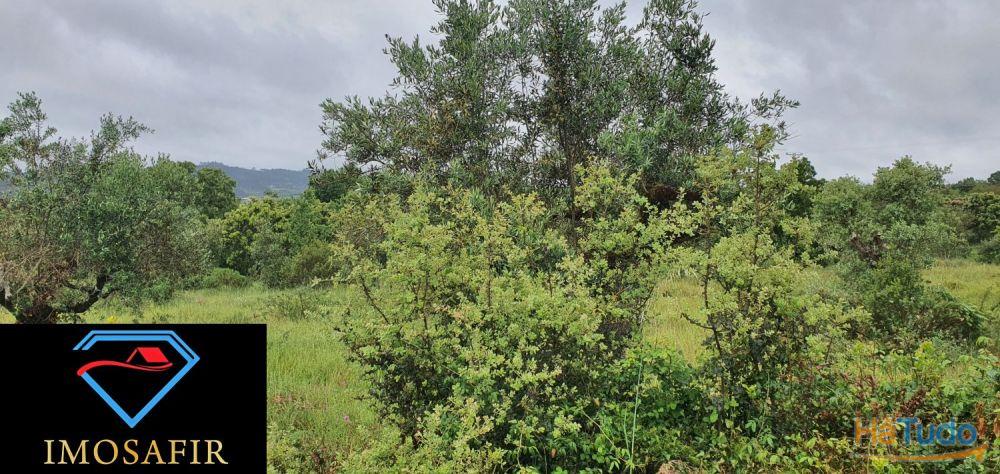 Terreno de construção com 18.480m2 em Matos, freguesia de Areias Terreno de construção com 18.480m2 em Matos, freguesia de Areias