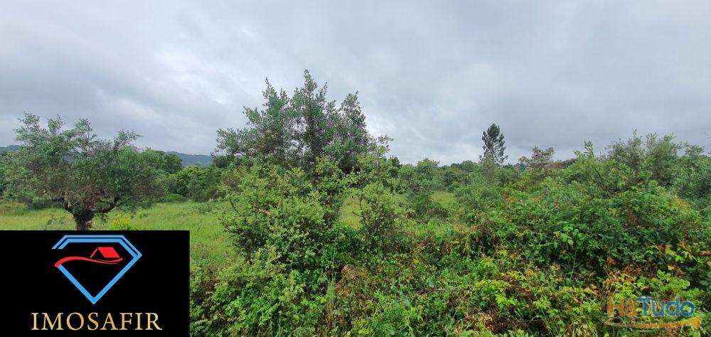 Terreno de construção com 18.480m2 em Matos, freguesia de Areias Terreno de construção com 18.480m2 em Matos, freguesia de Areias