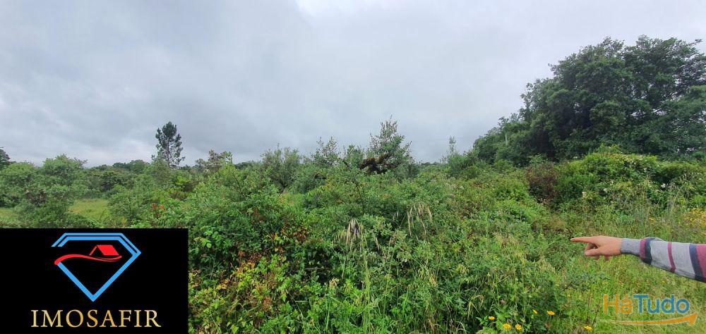 Terreno de construção com 18.480m2 em Matos, freguesia de Areias Terreno de construção com 18.480m2 em Matos, freguesia de Areias