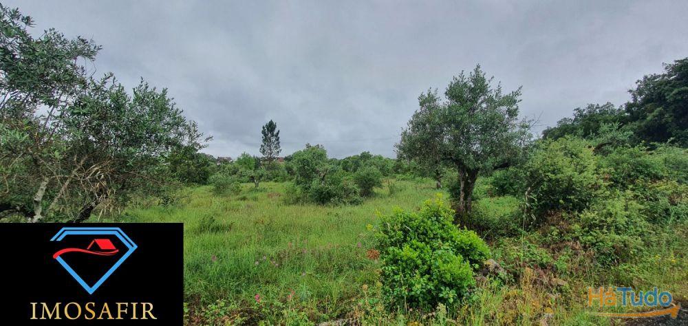 Terreno de construção com 18.480m2 em Matos, freguesia de Areias Terreno de construção com 18.480m2 em Matos, freguesia de Areias