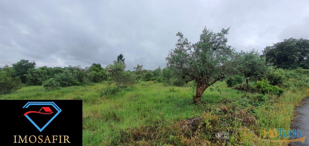 Terreno de construção com 18.480m2 em Matos, freguesia de Areias Terreno de construção com 18.480m2 em Matos, freguesia de Areias