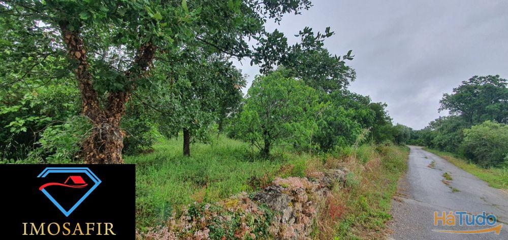 Terreno de construção com 18.480m2 em Matos, freguesia de Areias Terreno de construção com 18.480m2 em Matos, freguesia de Areias