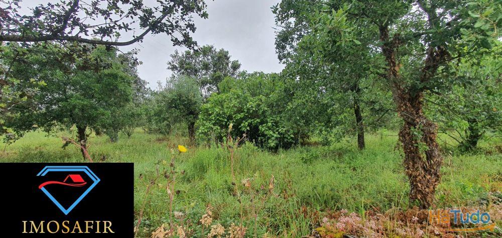 Terreno de construção com 18.480m2 em Matos, freguesia de Areias Terreno de construção com 18.480m2 em Matos, freguesia de Areias