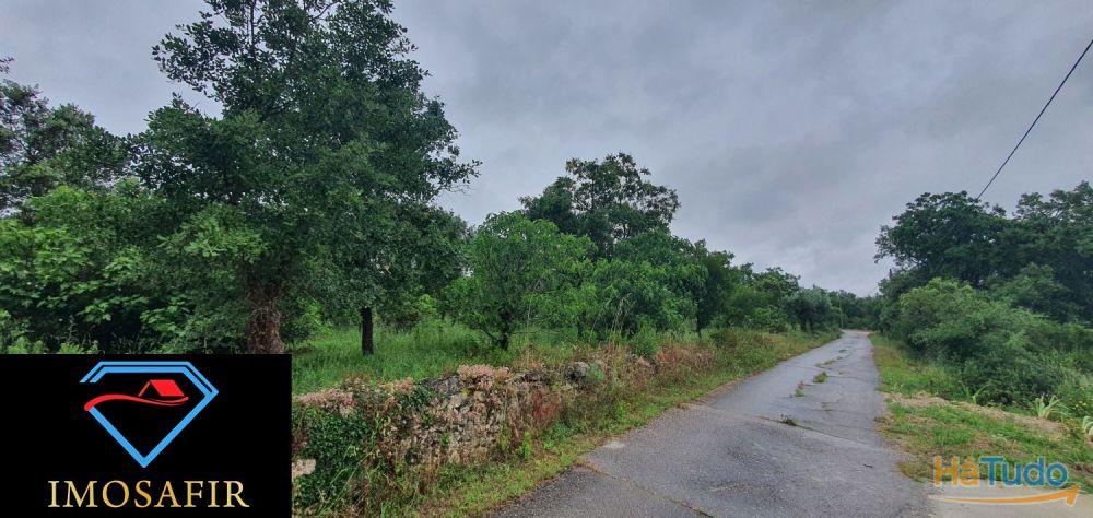 Terreno de construção com 18.480m2 em Matos, freguesia de Areias Terreno de construção com 18.480m2 em Matos, freguesia de Areias