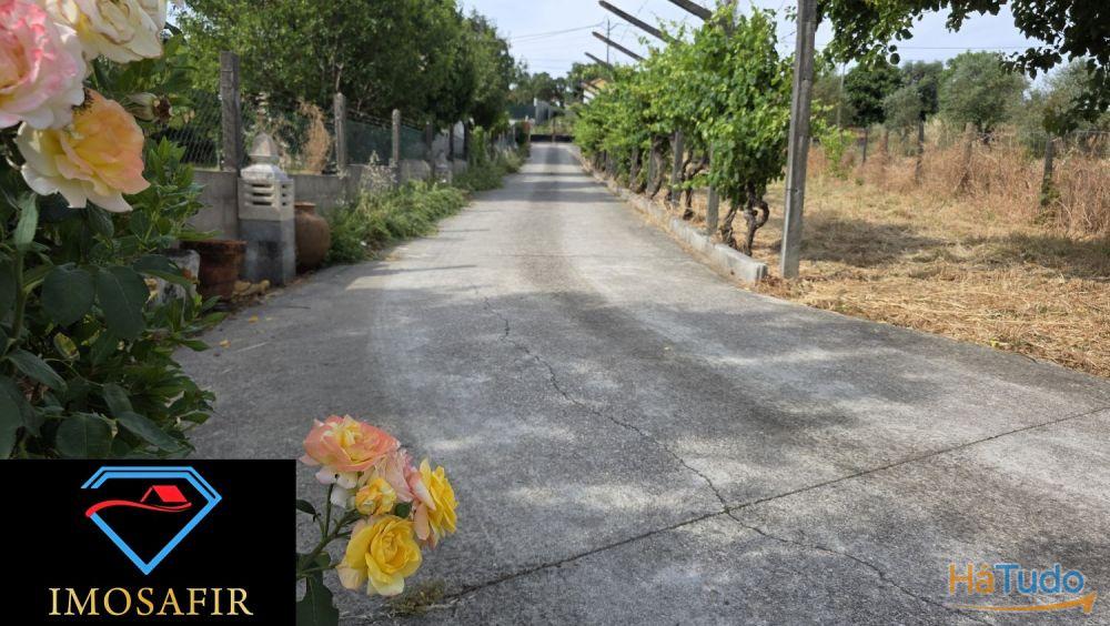 Moradia T4 nas Olalhas, a 2 kms da Albufeira do Castelo do Bode Moradia T4 nas Olalhas, a 2 kms da Albufeira do Castelo do Bode