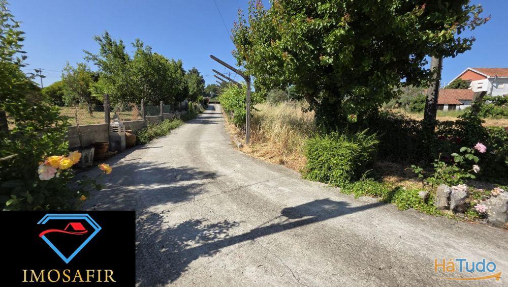 Moradia T4 nas Olalhas, a 2 kms da Albufeira do Castelo do Bode Moradia T4 nas Olalhas, a 2 kms da Albufeira do Castelo do Bode