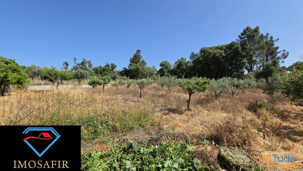 Moradia T4 nas Olalhas, a 2 kms da Albufeira do Castelo do Bode Moradia T4 nas Olalhas, a 2 kms da Albufeira do Castelo do Bode