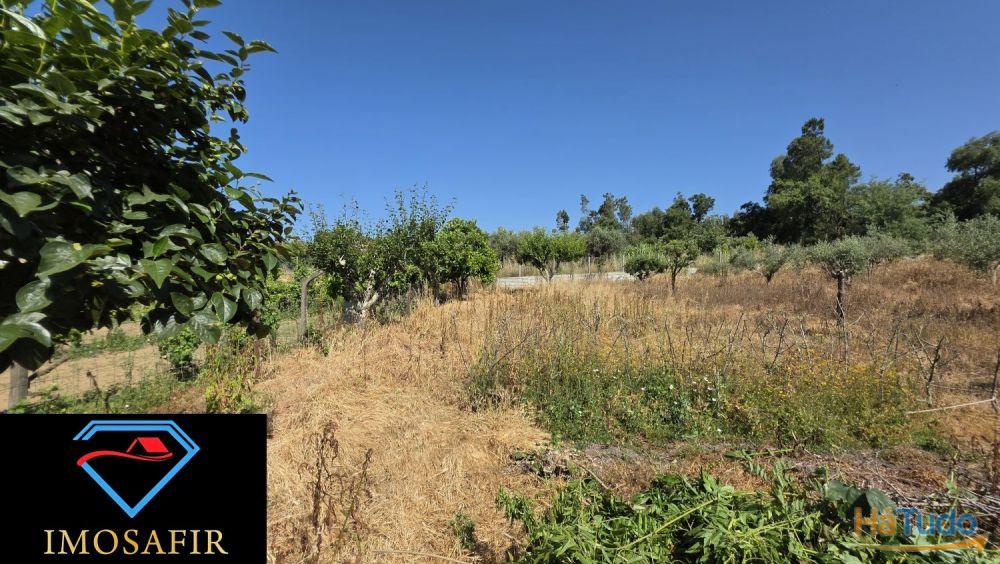 Moradia T4 nas Olalhas, a 2 kms da Albufeira do Castelo do Bode Moradia T4 nas Olalhas, a 2 kms da Albufeira do Castelo do Bode