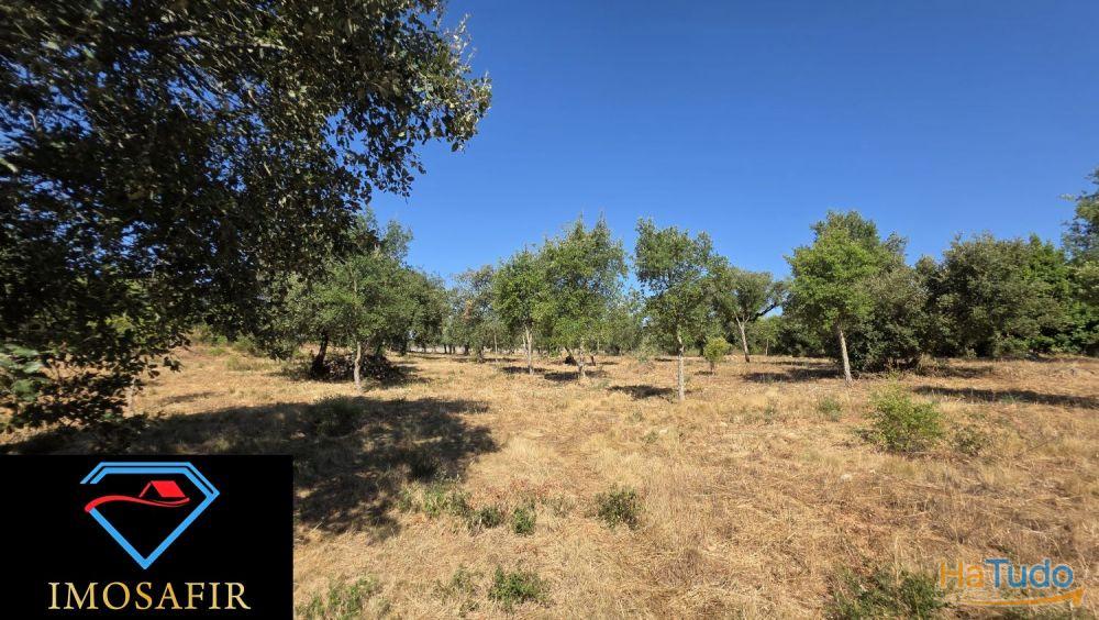 Terreno de Construção com 7665 m2 em Matos, Ferreira do Zêzere Terreno de Construção com 7665 m2 em Matos, Ferreira do Zêzere