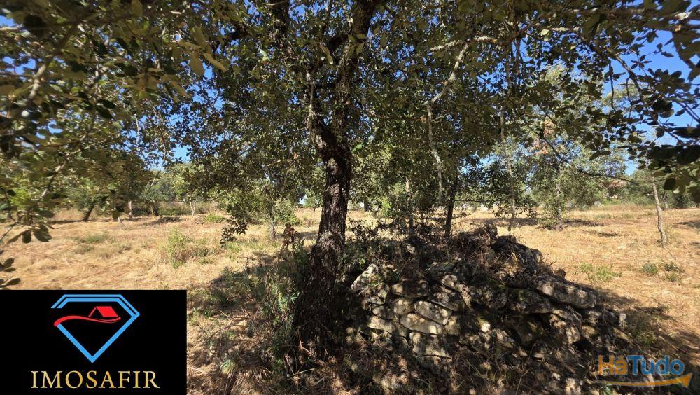 Terreno de Construção com 7665 m2 em Matos, Ferreira do Zêzere Terreno de Construção com 7665 m2 em Matos, Ferreira do Zêzere