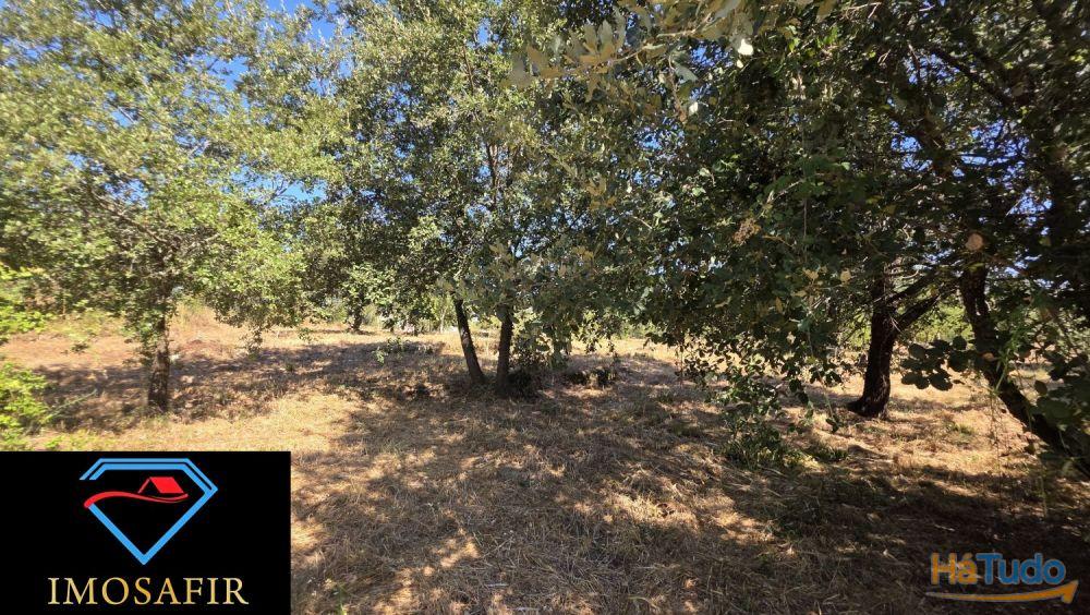 Terreno de Construção com 7665 m2 em Matos, Ferreira do Zêzere Terreno de Construção com 7665 m2 em Matos, Ferreira do Zêzere