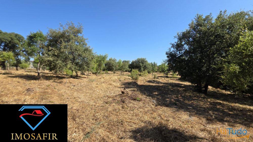 Terreno de Construção com 7665 m2 em Matos, Ferreira do Zêzere Terreno de Construção com 7665 m2 em Matos, Ferreira do Zêzere