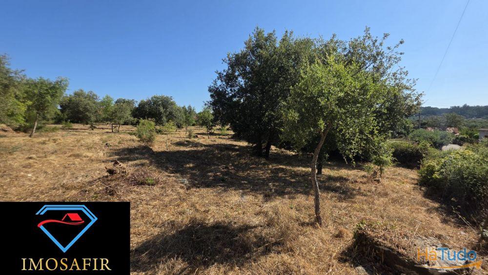 Terreno de Construção com 7665 m2 em Matos, Ferreira do Zêzere Terreno de Construção com 7665 m2 em Matos, Ferreira do Zêzere